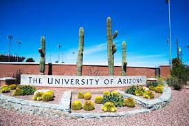 University of Arizona employees concerned about return to campus, survey  says